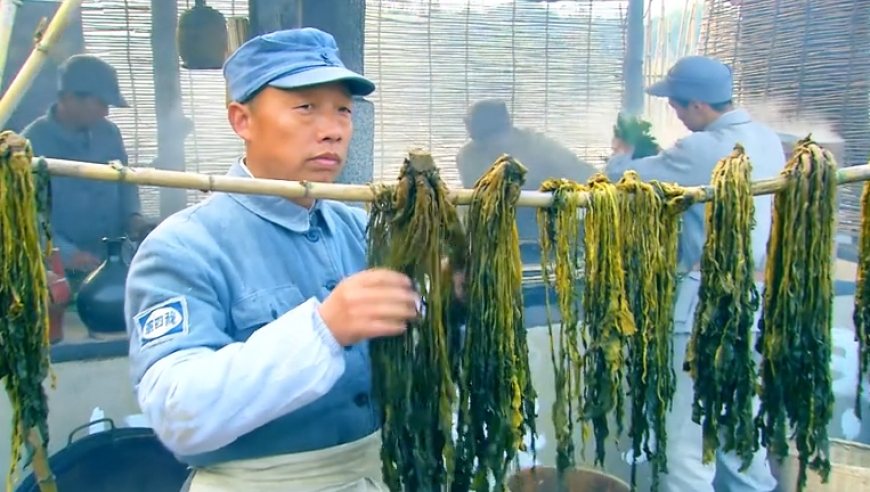 清明将至消防安全莫大意,88zzcc特彩吧原版正料246,公开决策资料解释落实_高级版V15.25